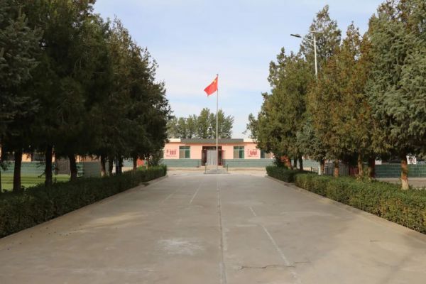 从4名到124名，一所乡村小学的蜕变之路