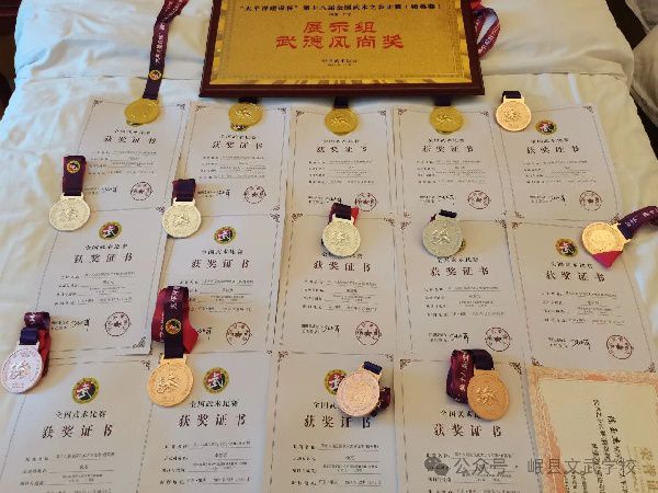 文武赛事 | 岷县文武雄姿展，武术之乡载誉还——第十八届全国武术之乡（精英赛）中荣获4金4银6铜