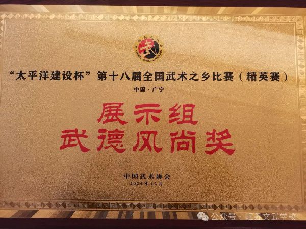 文武赛事 | 岷县文武雄姿展，武术之乡载誉还——第十八届全国武术之乡（精英赛）中荣获4金4银6铜