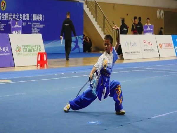 文武赛事 | 岷县文武雄姿展，武术之乡载誉还——第十八届全国武术之乡（精英赛）中荣获4金4银6铜