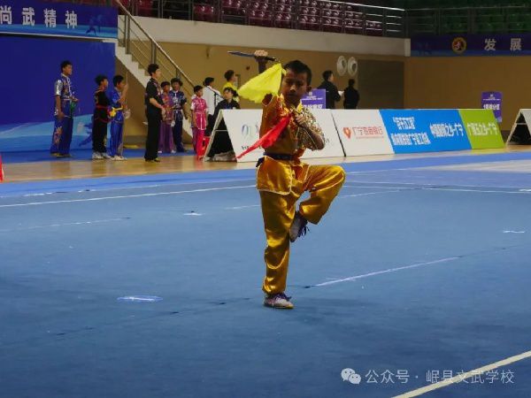 文武赛事 | 岷县文武雄姿展，武术之乡载誉还——第十八届全国武术之乡（精英赛）中荣获4金4银6铜