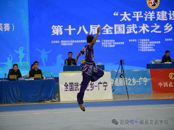 文武赛事 | 岷县文武雄姿展，武术之乡载誉还——第十八届全国武术之乡（精英赛）中荣获4金4银6铜