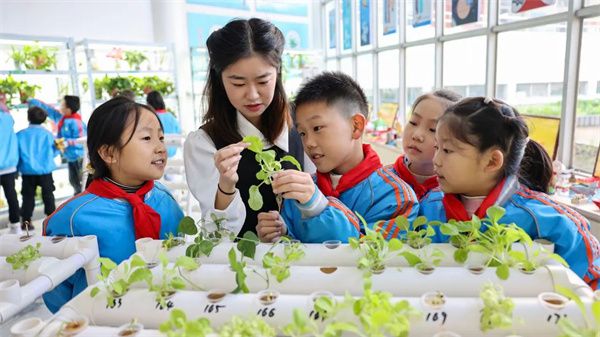 2024年度中国基础教育十大关键词揭晓！