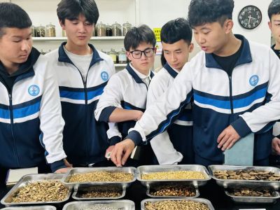 民办学校请注意！AI赋能教育应警惕四大认知迷思