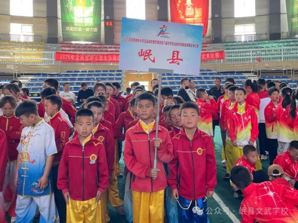 岷县文武学校武术健儿闪耀赛场 斩获多项殊荣