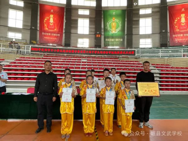 岷县文武学校武术健儿闪耀赛场 斩获多项殊荣