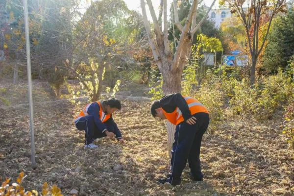 秋风扫落叶 青春正当时——白银市平川中恒学校志愿者活动纪实