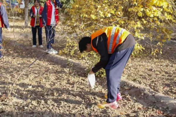 秋风扫落叶 青春正当时——白银市平川中恒学校志愿者活动纪实