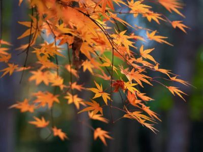 民办学校怎样才能过上“好日子”