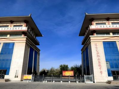 绽放省赛舞台！酒泉艺术职业高中学子勇夺省赛二等奖